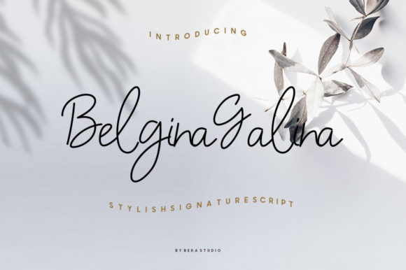 Belgina Galina Script Handwritten Font for Makers