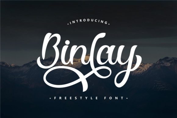 Binlay Script Font for Professional Branding