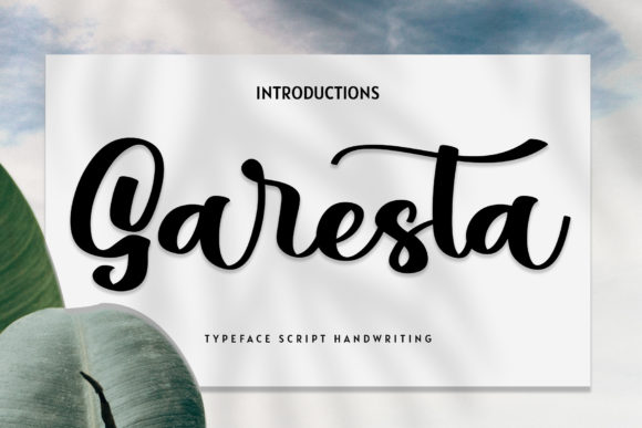 Garesta Script Font for Fashion & Editorial Branding