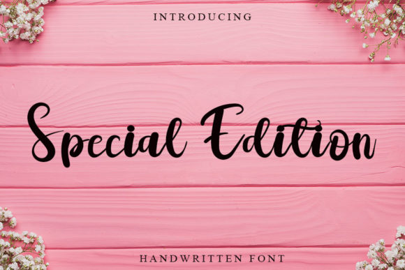 Special Edition: A Romantic Script Handwritten Font for Branding