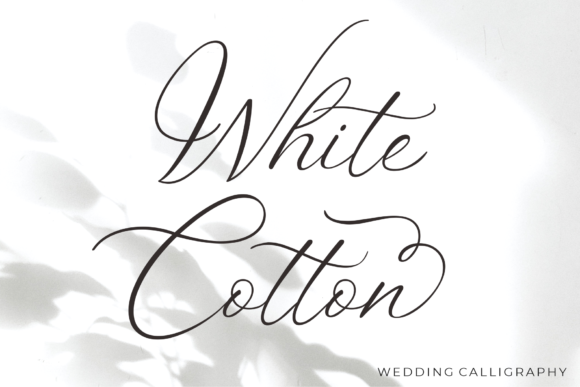 White Cotton: A Refined Script Handwritten Font for Elegant Design